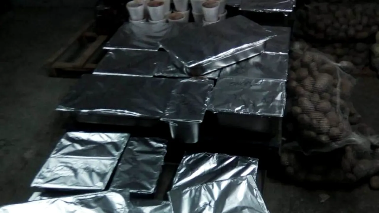 În plină CRIZĂ a CORONAVIRUSULUI: Asistații DGASPC Giurgiu, în pericol de a rămâne fără hrană! Firma care se ocupa de pregătirea mâncării, deținută de Marin Mototolea, primarul anchetat în dosarul permiselor falsificate de la Giurgiu