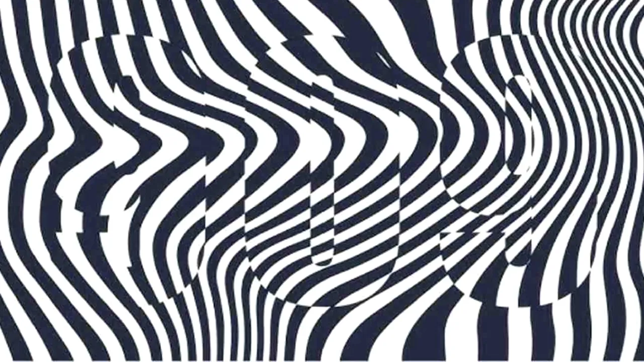 Iluzie optică VIRALĂ | Ai un IQ uriaș dacă distingi numărul ascuns în această imagine