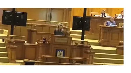 Scandal în plenul Camerei Deputaţilor pe legea care amână evaluarea şi admiterea la liceu în 2027. PNL acuză PSD că le-a furat proiectul