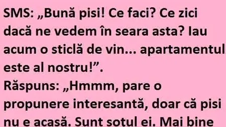 BANCUL ZILEI | „Pisi, ne vedem în seara asta?”