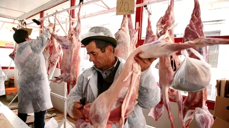 Guvernul estimează că în curând va putea fi reluat exportul în Turcia de carne de oaie