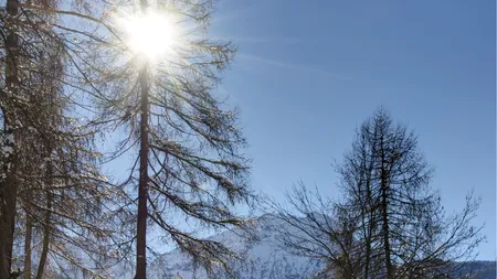 Vremea se încălzește în weekend. Temperaturi de până la 11 grade Celsius în unele regiuni