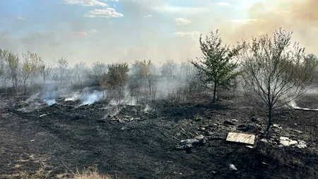 INCENDII puternice în apropiere de București. Autoritățile au intervenit de urgență