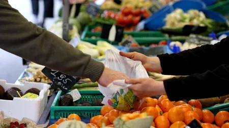 Consiliul Fiscal: În 2013, EVAZIUNEA FISCALĂ din România a ajuns la un nivel care „atinge siguranța națională