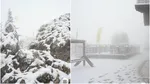 A venit iarna. Ninge în Masivul Postăvaru și pe Vârful Omu. Peisaje spectaculoase, cu brazi și poteci acoperite de zăpadă