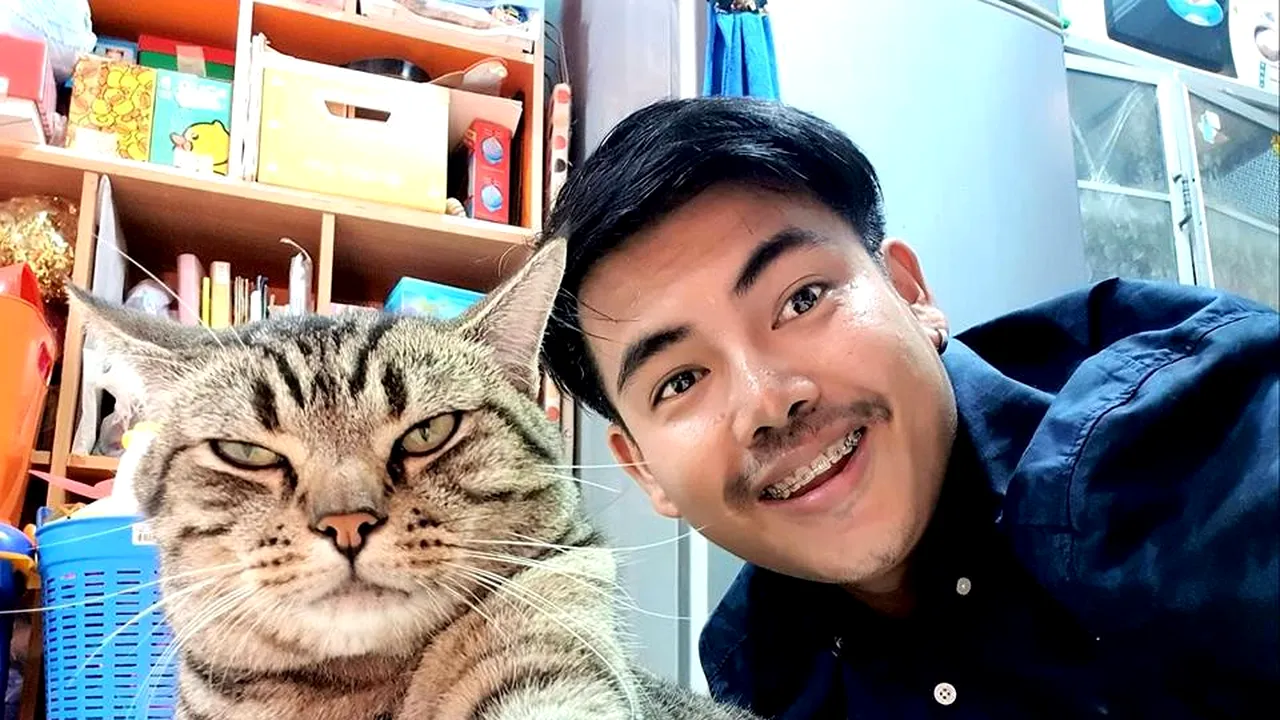 Pisicuța buclucașă. Ce a descoperit bărbatul pe camerele de supraveghere a stârnit controverse - FOTO