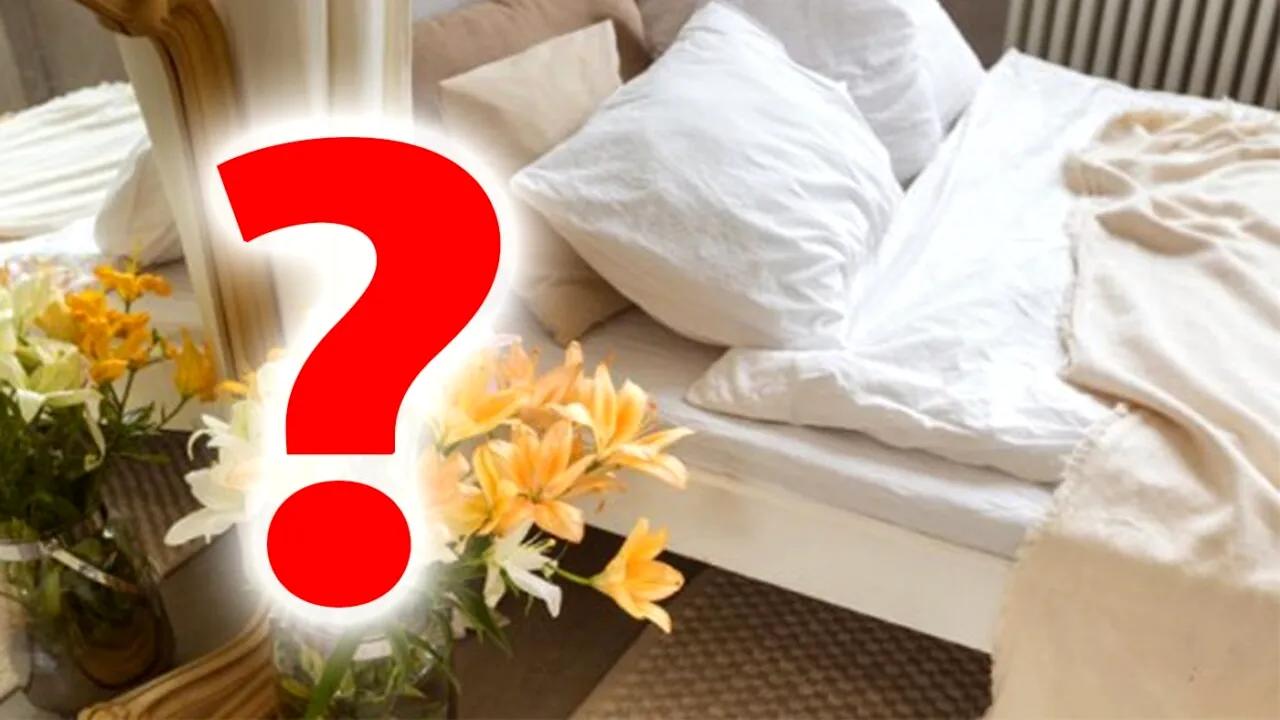 Planta absolut INTERZISĂ în dormitor. Face rău atât omului, cât și animalelor de companie