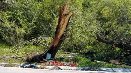 Mesajul extrem de trist al unui polițist chemat să intervină la un accident în care a murit o fetiță de 10 ani