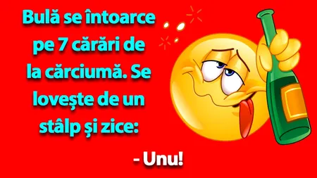 BANC | Bulă se întoarce pe 7 cărări de la cârciumă