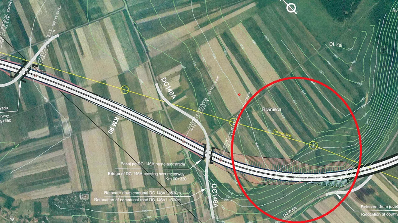 Președintele CNADNR, explicație halucinantă: ''Construcția autostrăzii Lugoj-Deva, blocată de lilieci''