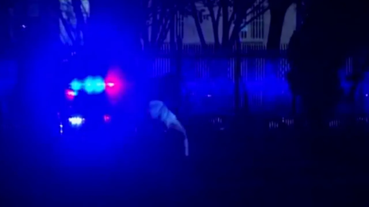 Un bărbat a sărit gardul Casei Albe, dar a fost atacat de câini și imobilizat de Secret Service