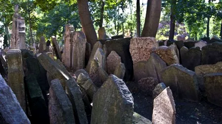 FOTO. Ce au găsit niște muncitori într-un cimitir. 