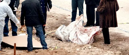 Cadavrul unui student, găsit lângă un hotel din Timișoara, unde se cazase
