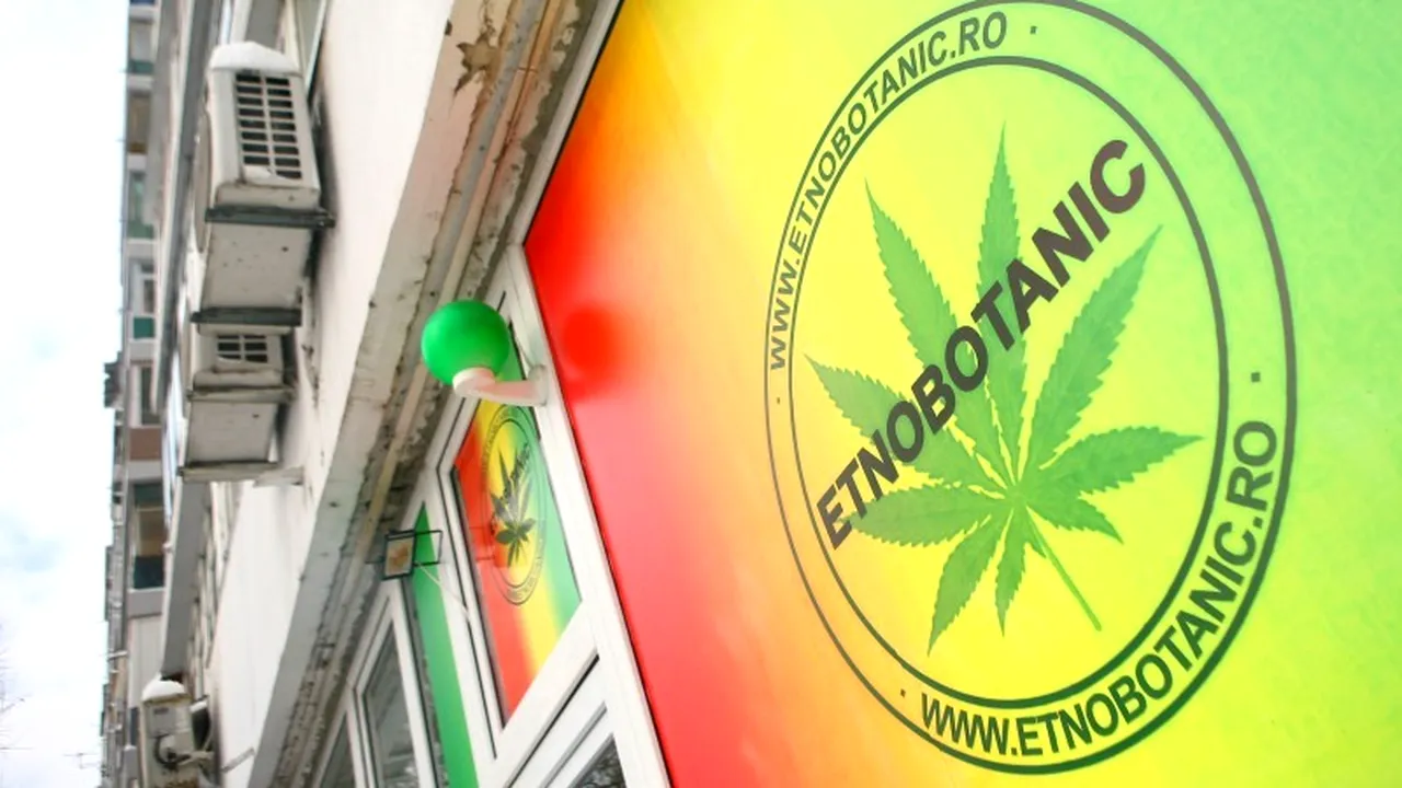 IGPR: 27 de persoane au fost reținute după perchezițiile de marți la magazinele de etnobotanice