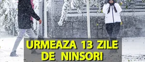 13 zile de NINSOARE în noiembrie! Meteorologii EaseWeather anunță pe ce dată începe să ningă în România