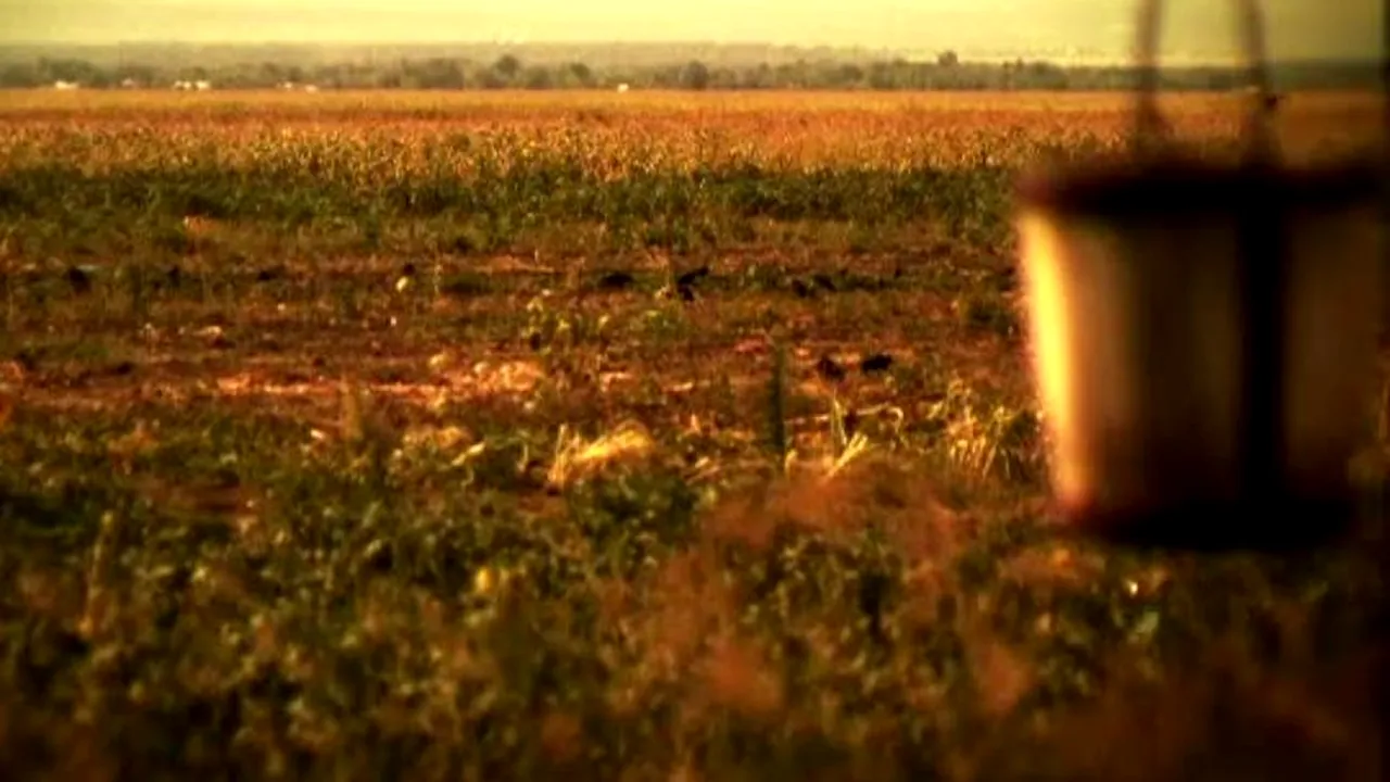 „ROMÂNIA, TE IUBESC!