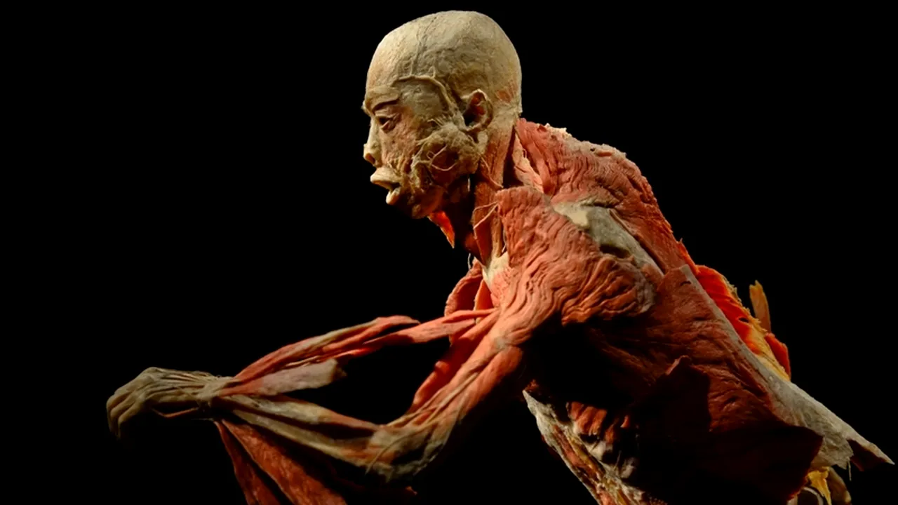 Lucruri pe care nu le înveți în totalitate la școală despre corpul uman: de când încep dinții să crească în realitate