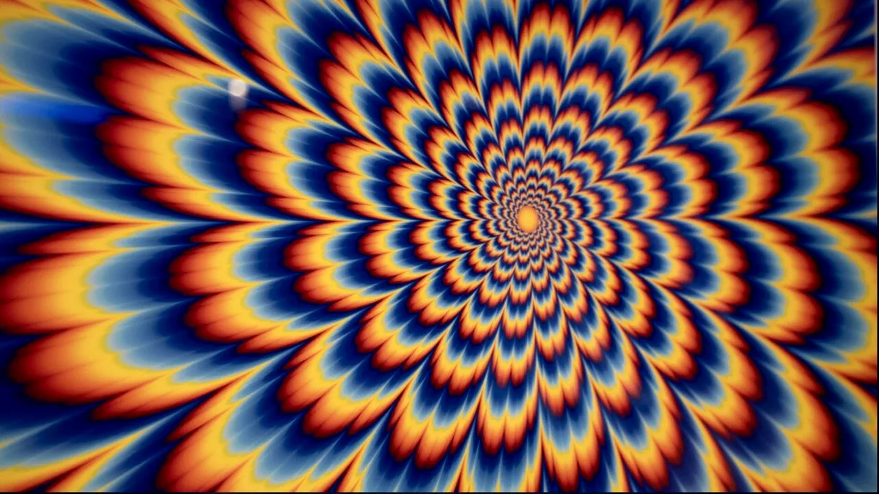 Farmacistul cu 10 DIPLOME: „Haterii de pe internet mă acuză că le cumpăr, dar reușesc să asimilez în 2 ore ceea ce altfel aș învăța în 8”