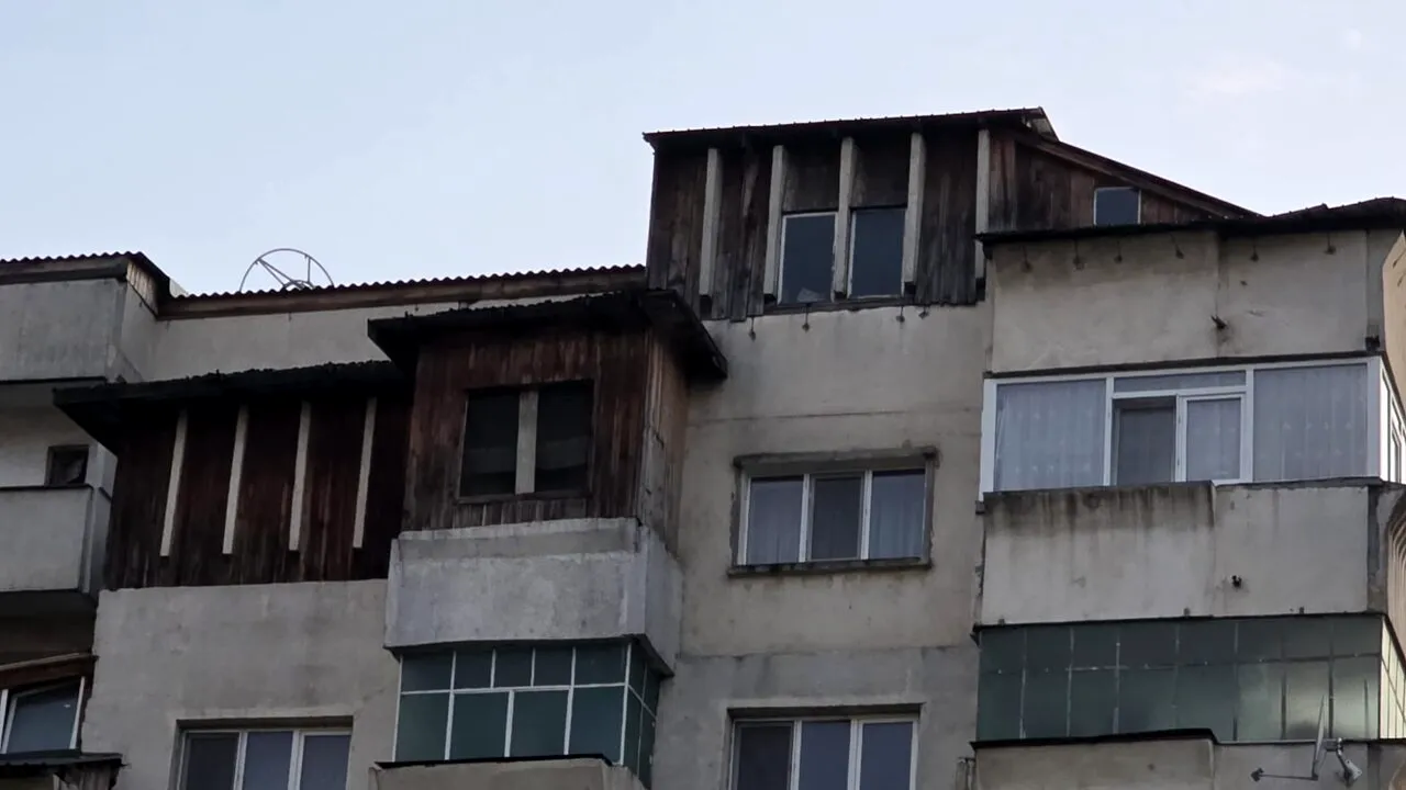 „Cotețele” de pe blocurile din Iași, pericol public. Cum poate fi rezolvată situația șarpantelor