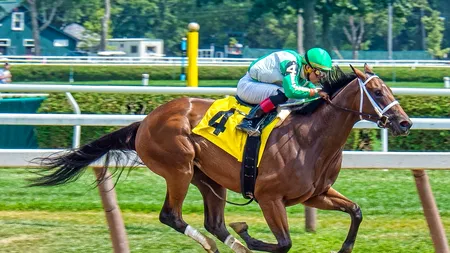 Scandal în Turcia: un cal de curse a fost servit drept vită într-o cantină socială