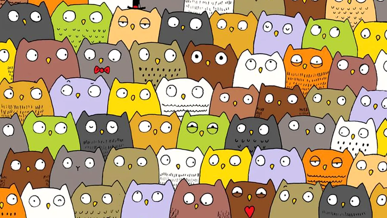 Ascunderea - o știință?