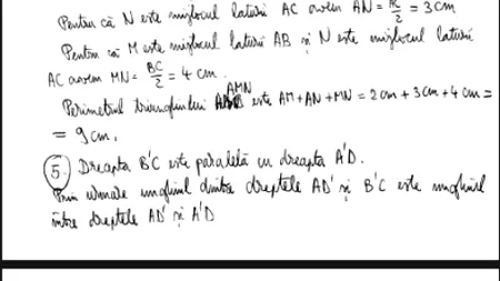 SUBIECTE MATEMATICĂ EVALUARE NAȚIONALĂ 2014. Cum a rezolvat Nicușor Dan subiectele la MATEMATICĂ primite de elevii care au susținut simularea la EVALUARE NAȚIONALĂ 2014