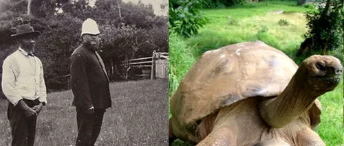 Cele două fotografii au fost făcute la 112 ani distanță. Pare incredibil, însă este aceeași țestoasă