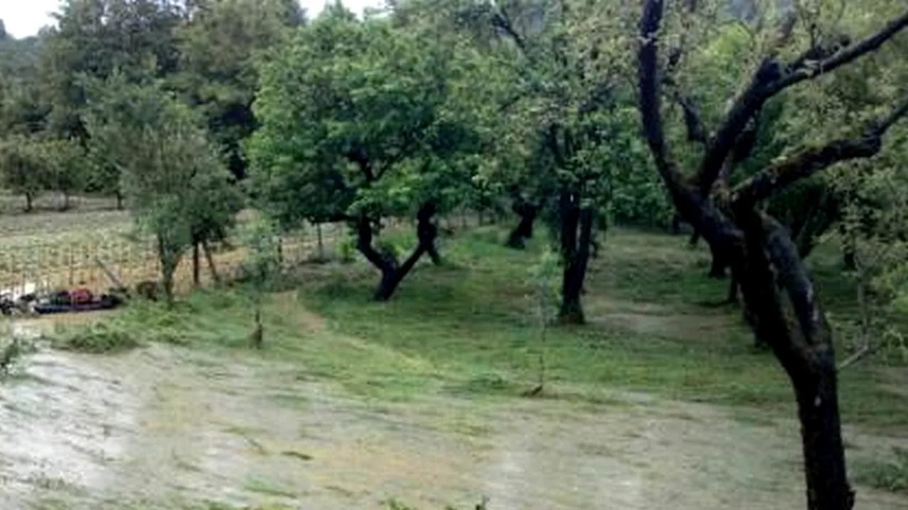 VREMEA. Cod galben și portocaliu de inundații în 8 județe, valabile până sâmbătă