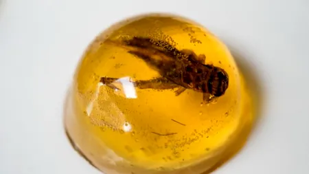 MEDIAFAX ZOOM. Bucătăria asiatică. GALERIE FOTO