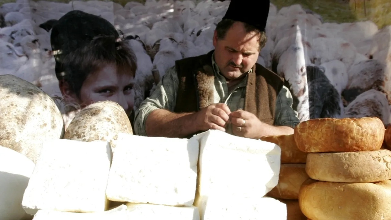 Mare atenție la brânza „de Sibiu