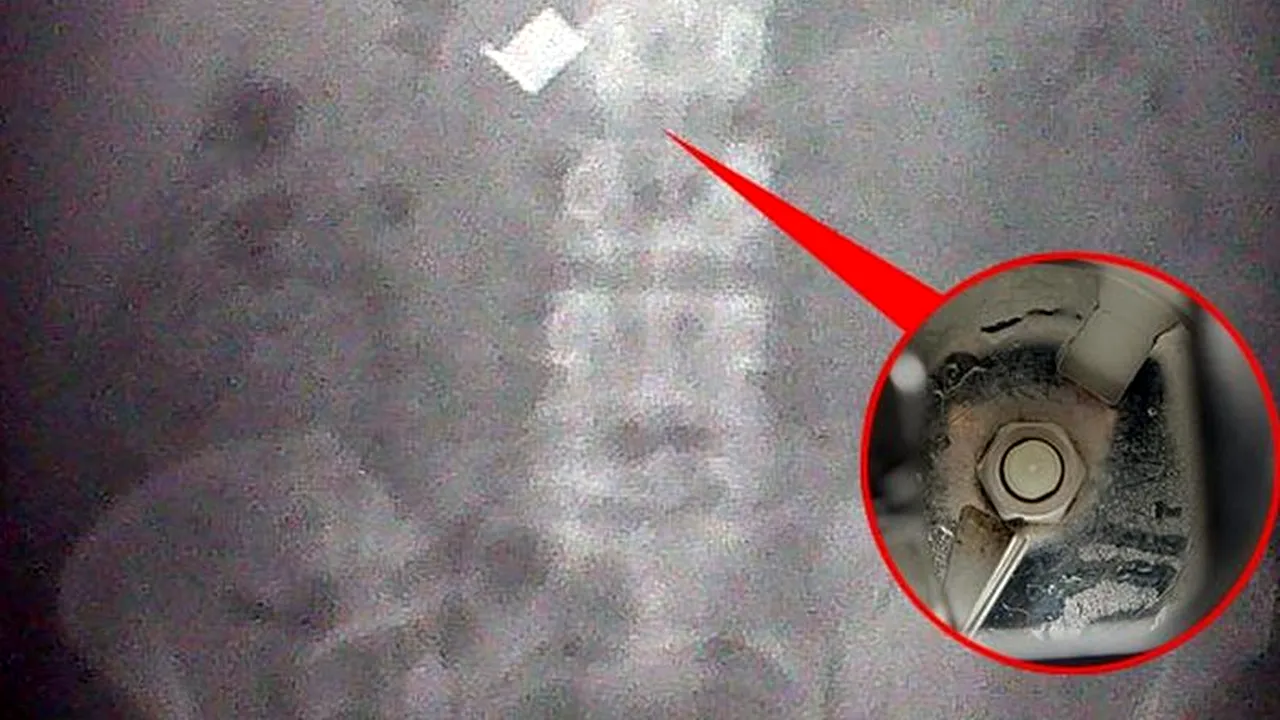 Când s-au uitat atent la această IMAGINE nu le-a venit să creadă. Nu te lăsa păcălit de prima impresie