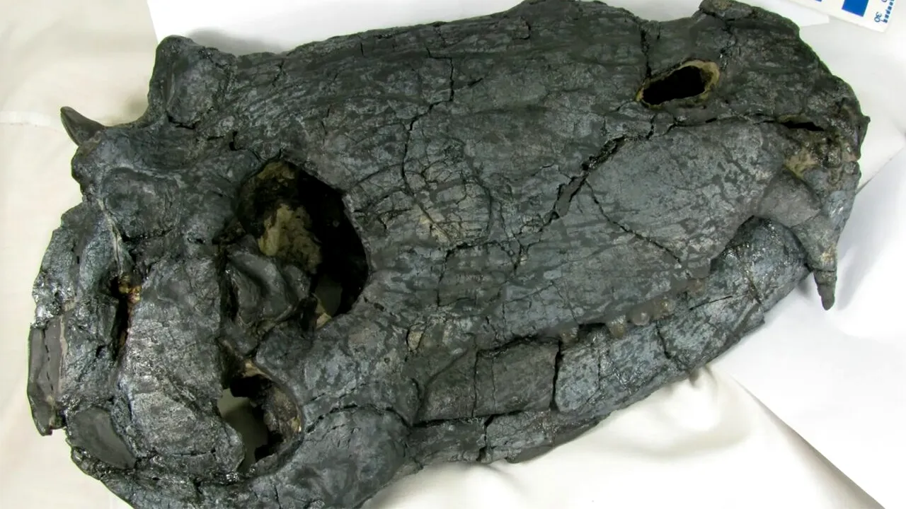 DESCOPERIRE de ultimă oră. Cum arătau locuitorii Pământului, în urmă cu 265 de milioane de ani