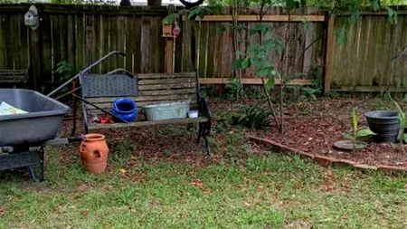 Iluzie optică virală | Ești un geniu dacă poți găsi pisica ascunsă în această fotografie, în cel mult 9 secunde