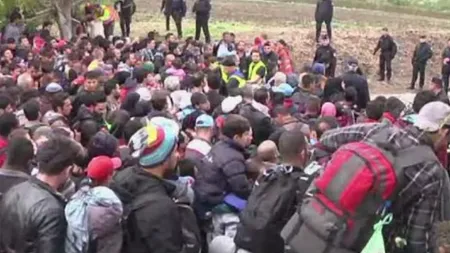 31 de migranți ilegali, descoperiți într-un camion înmatriculat în România. PLUS: Ciocnire între refugiați și polițiști, la granița sârbo-croată