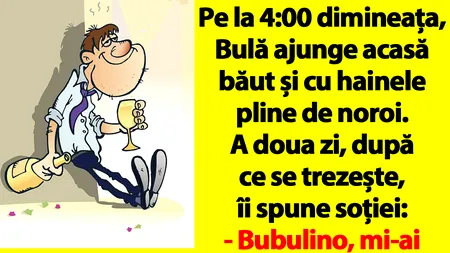 BANC | Bulă ajunge acasă băut și cu hainele pline de noroi