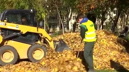 Gunoiul unora, comoara altora. Un sac de 20 de litri se vinde cu 16 lei
