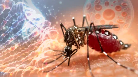 ALERTĂ în Italia din cauza virusului West Nile. O persoană a murit, iar 15 provincii au raportat cazuri