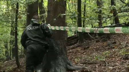 Pilot român, decedat într-un accident aviatic în Slovacia