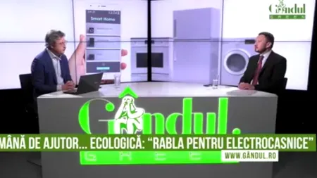 Mircea Fechet, Secretar de Stat la Gândul Green: 