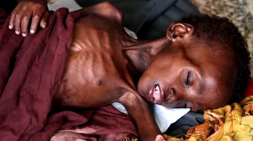 Avertisment de la ONU:  Riscul de foamete este în creștere. 52 de milioane de persoane sunt subnutrite