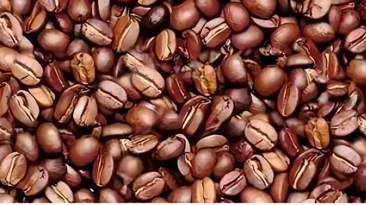 Iluzie optică virală | Doar GENIILE pot vedea bărbatul ascuns în această imagine, în maximum 11 secunde