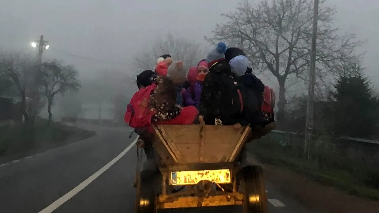 Mai mulți copii din Bacău au fost fotografiați în timp ce erau duși la școală cu căruța: Singuranța lor nu era deloc asigurată / Asta e opțiunea părinților