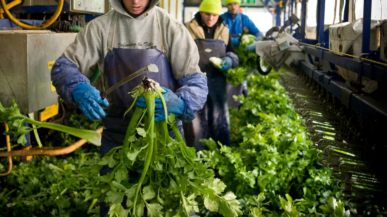 Important  lider politic de la Londra, mesaj dur pentru 
