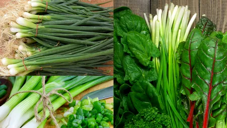 Cu ce să stropești ceapa verde pentru o creștere sănătoasă. Secretul natural al grădinarilor