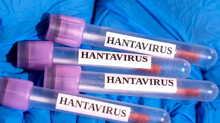 Un nou caz de hantavirus a apărut în Spania. Numărul persoanelor infectate a ajuns la 13