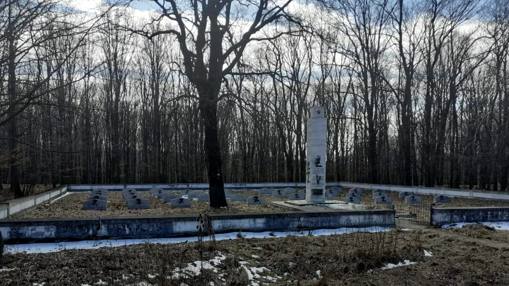 Cimitir în care sunt îngropați soldați ruși, vandalizat. Polițiștii au deschis dosar penal