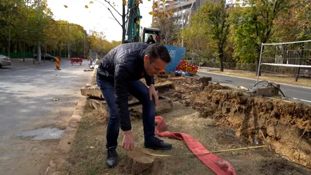 VIDEO | Peste 100 de copaci defrișați DEGEABA de Primăria Generală! Primarul Sectorului 3, Robert Negoiță, vine cu dovezi de la fața locului