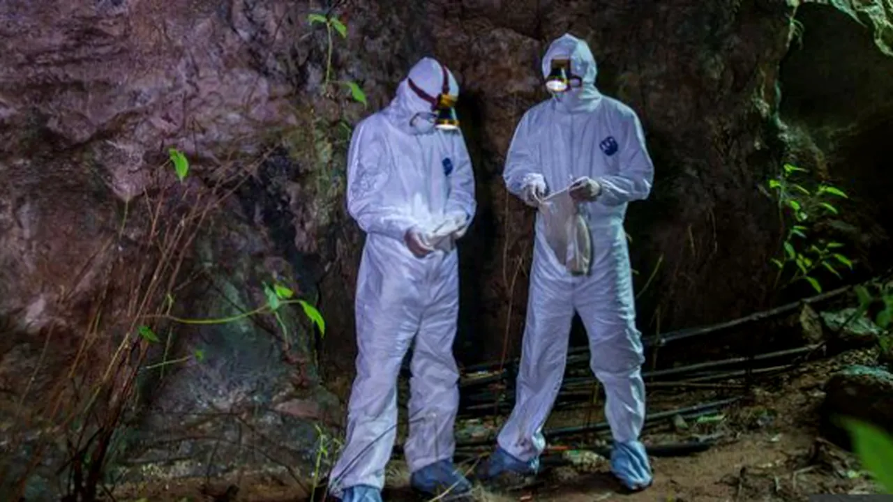 Coronavirusul a apărut pentru prima dată la minerii chinezi în 2012 și este posibil să nu aibă originea în piața din Wuhan, spun oamenii de știință