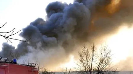 Incendiu de vegetație în spatele fostului complex Metro Otopeni, traficul aerian nu este afectat 