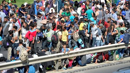 Descinderi ale Poliției Române la membrii unei rețele de trafic de migranți. Cum opera gruparea